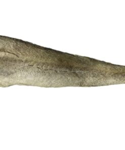 Cá minh thái Phille