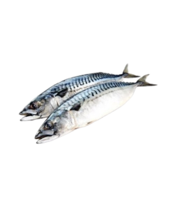 Hải Sản Đông Lạnh 냉동 수산