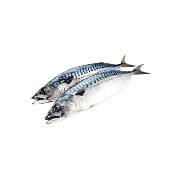 Hải Sản Đông Lạnh 냉동 수산