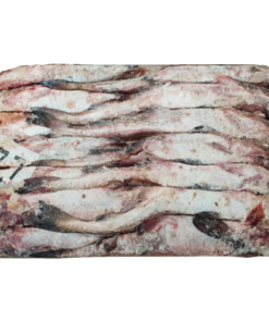 Cá Minh Thái nguyên con