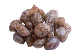 O man di (Hải Tiêu nhỏ) 오만둥이 