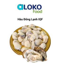 Ruột Hàu đông lạnh IQF 통영 냉동굴 1KG