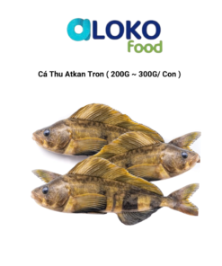 Cá Thu Atka Tron (200-300/con) 임연수 (200-300/마리)