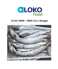 Cá hố (800-900/con) Senegal   갈치 (800-900/마리), 세네갈